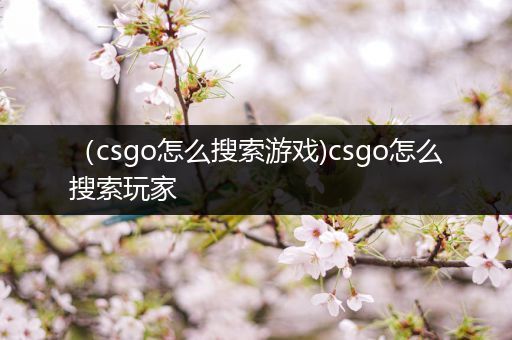 （csgo怎么搜索游戏)csgo怎么搜索玩家