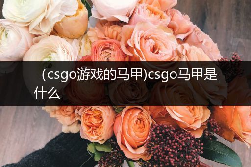 （csgo游戏的马甲)csgo马甲是什么