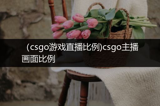 （csgo游戏直播比例)csgo主播画面比例