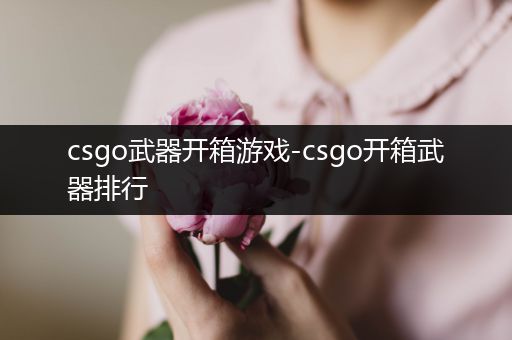 csgo武器开箱游戏-csgo开箱武器排行