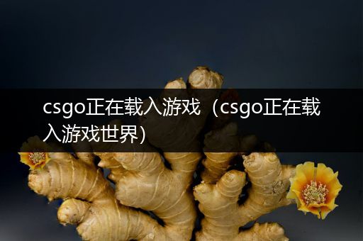 csgo正在载入游戏（csgo正在载入游戏世界）