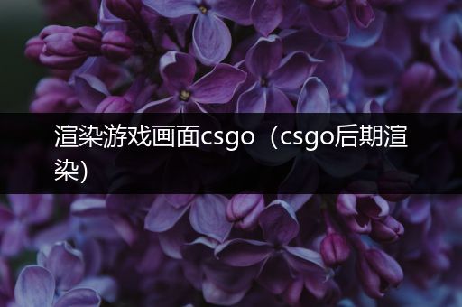 渲染游戏画面csgo（csgo后期渲染）