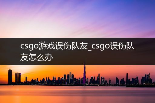 csgo游戏误伤队友_csgo误伤队友怎么办