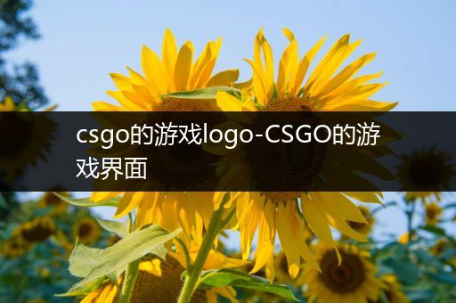 csgo的游戏logo-CSGO的游戏界面