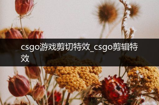 csgo游戏剪切特效_csgo剪辑特效