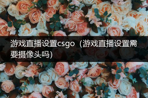 游戏直播设置csgo（游戏直播设置需要摄像头吗）