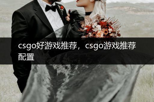 csgo好游戏推荐，csgo游戏推荐配置