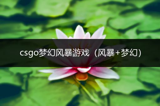 csgo梦幻风暴游戏（风暴+梦幻）