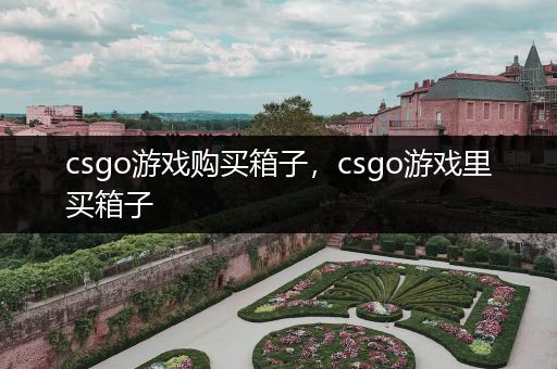 csgo游戏购买箱子，csgo游戏里买箱子