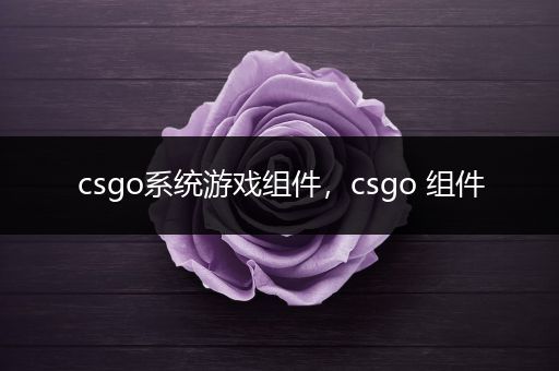 csgo系统游戏组件，csgo 组件