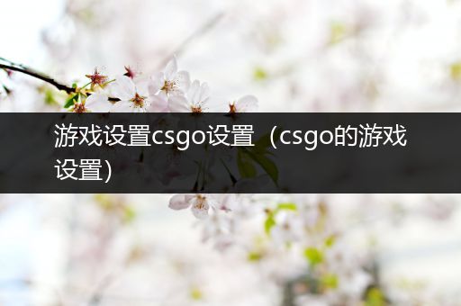 游戏设置csgo设置（csgo的游戏设置）