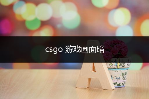 csgo 游戏画面暗