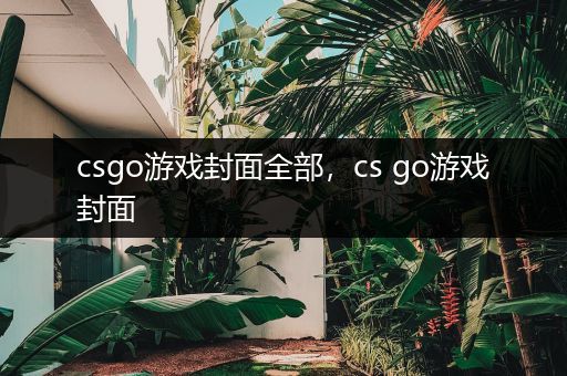 csgo游戏封面全部，cs go游戏封面