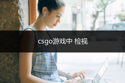 csgo游戏中 检视