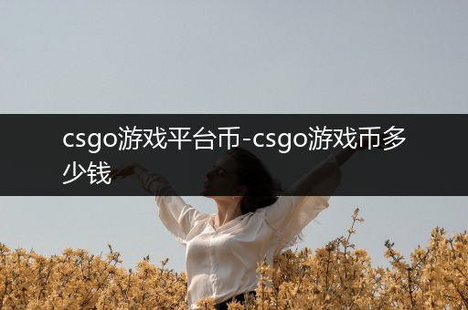 csgo游戏平台币-csgo游戏币多少钱