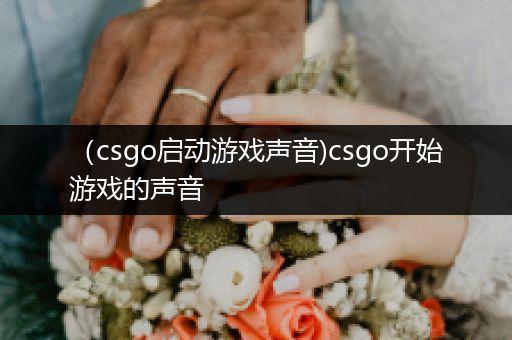 （csgo启动游戏声音)csgo开始游戏的声音