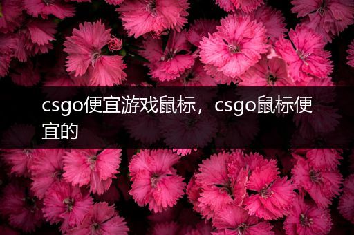 csgo便宜游戏鼠标，csgo鼠标便宜的