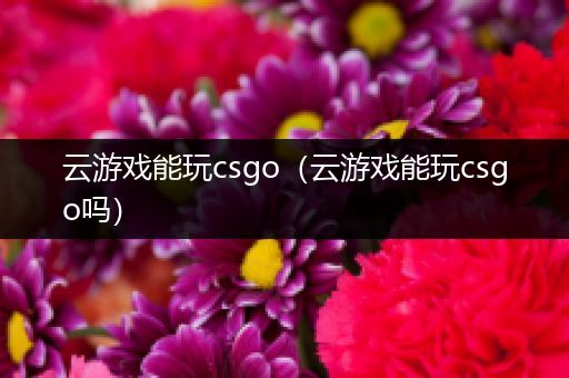 云游戏能玩csgo（云游戏能玩csgo吗）