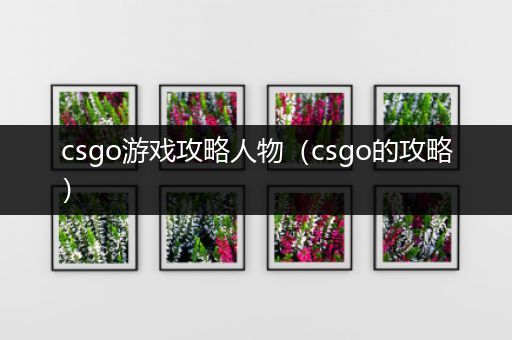 csgo游戏攻略人物（csgo的攻略）
