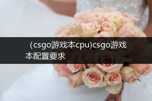 （csgo游戏本cpu)csgo游戏本配置要求