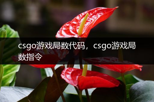 csgo游戏局数代码，csgo游戏局数指令