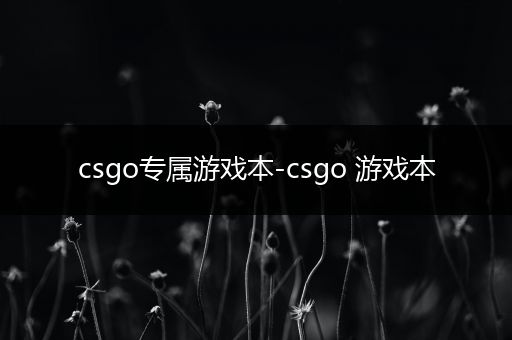 csgo专属游戏本-csgo 游戏本