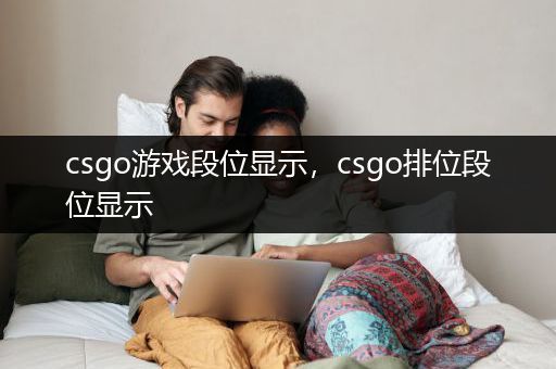 csgo游戏段位显示，csgo排位段位显示