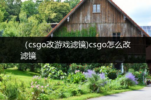 （csgo改游戏滤镜)csgo怎么改滤镜