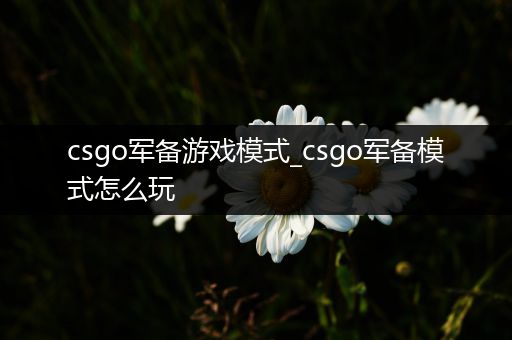csgo军备游戏模式_csgo军备模式怎么玩