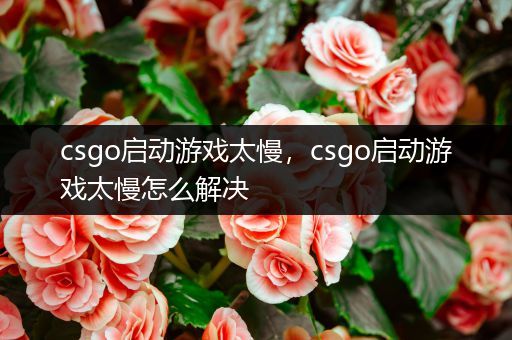 csgo启动游戏太慢，csgo启动游戏太慢怎么解决