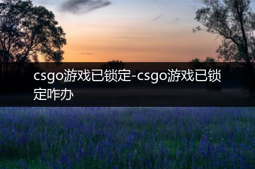 csgo游戏已锁定-csgo游戏已锁定咋办