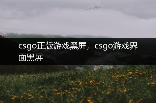 csgo正版游戏黑屏，csgo游戏界面黑屏