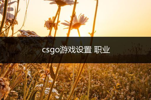 csgo游戏设置 职业