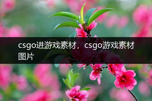 csgo进游戏素材，csgo游戏素材图片