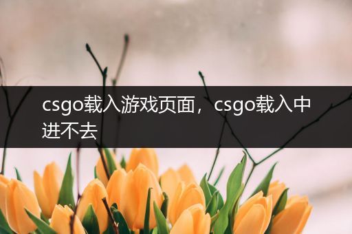 csgo载入游戏页面，csgo载入中进不去