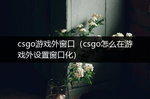 csgo游戏外窗口（csgo怎么在游戏外设置窗口化）