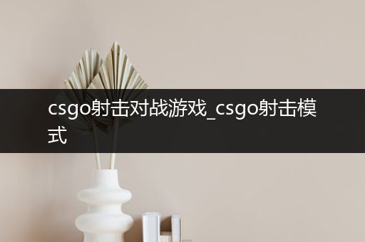 csgo射击对战游戏_csgo射击模式
