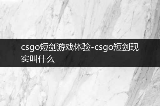 csgo短剑游戏体验-csgo短剑现实叫什么