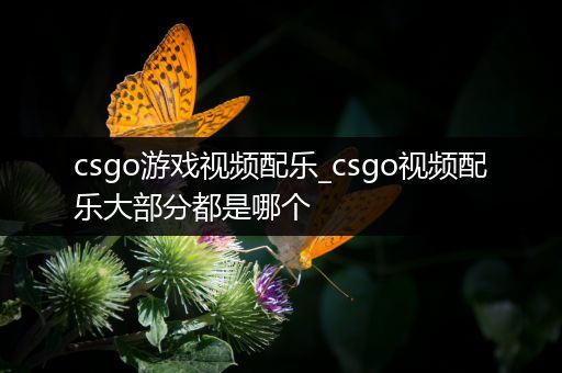 csgo游戏视频配乐_csgo视频配乐大部分都是哪个