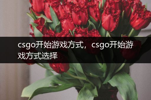 csgo开始游戏方式，csgo开始游戏方式选择