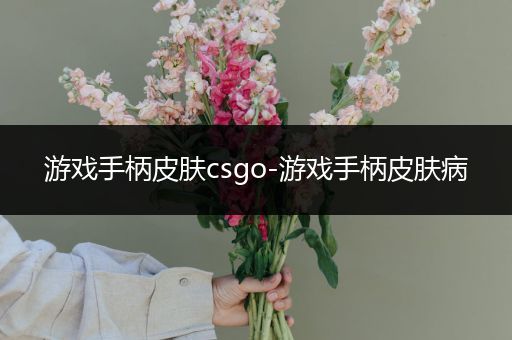 游戏手柄皮肤csgo-游戏手柄皮肤病