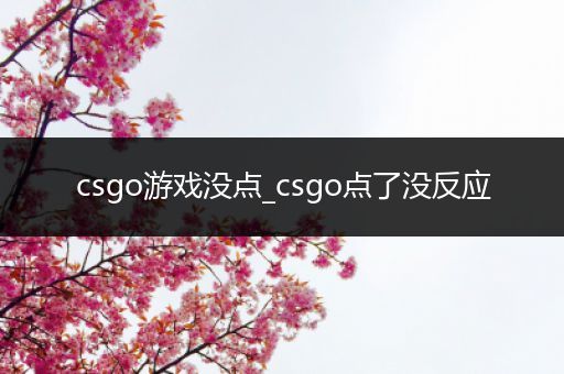 csgo游戏没点_csgo点了没反应