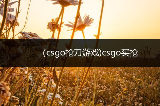 （csgo抢刀游戏)csgo买抢
