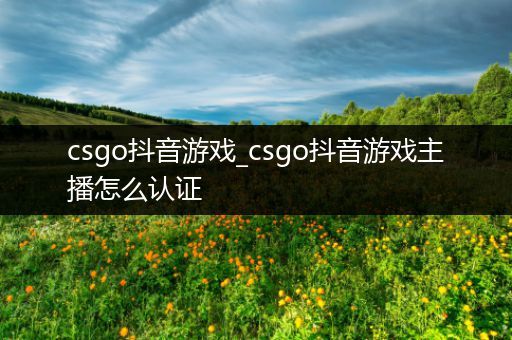 csgo抖音游戏_csgo抖音游戏主播怎么认证