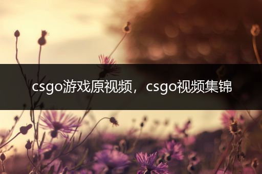 csgo游戏原视频，csgo视频集锦