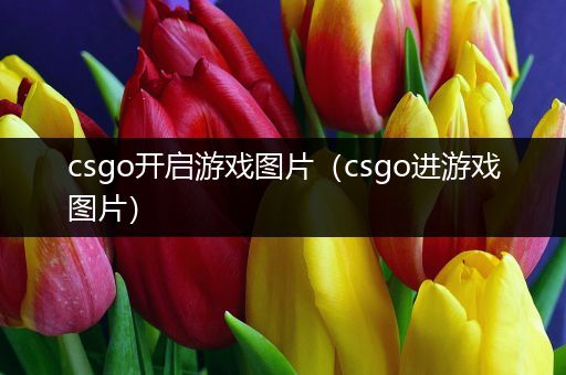 csgo开启游戏图片（csgo进游戏图片）