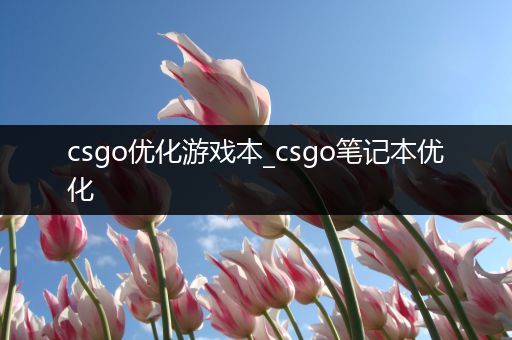 csgo优化游戏本_csgo笔记本优化