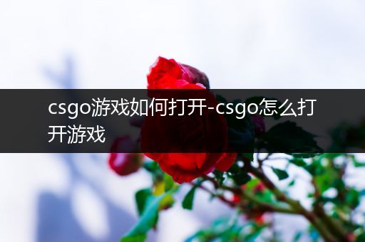 csgo游戏如何打开-csgo怎么打开游戏
