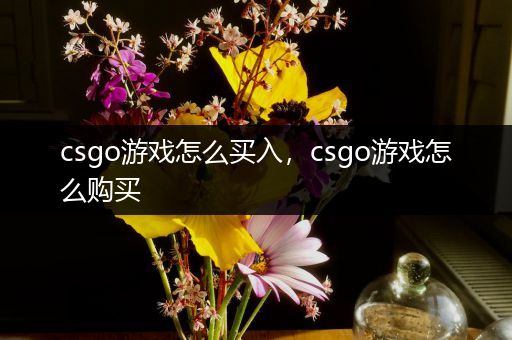 csgo游戏怎么买入，csgo游戏怎么购买