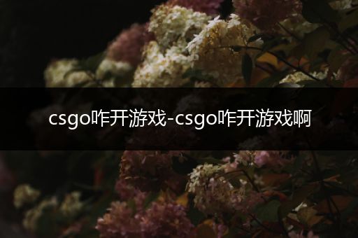 csgo咋开游戏-csgo咋开游戏啊